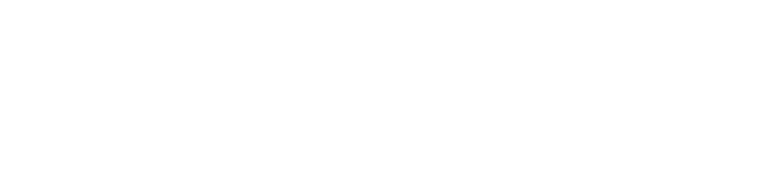ludicrous logo